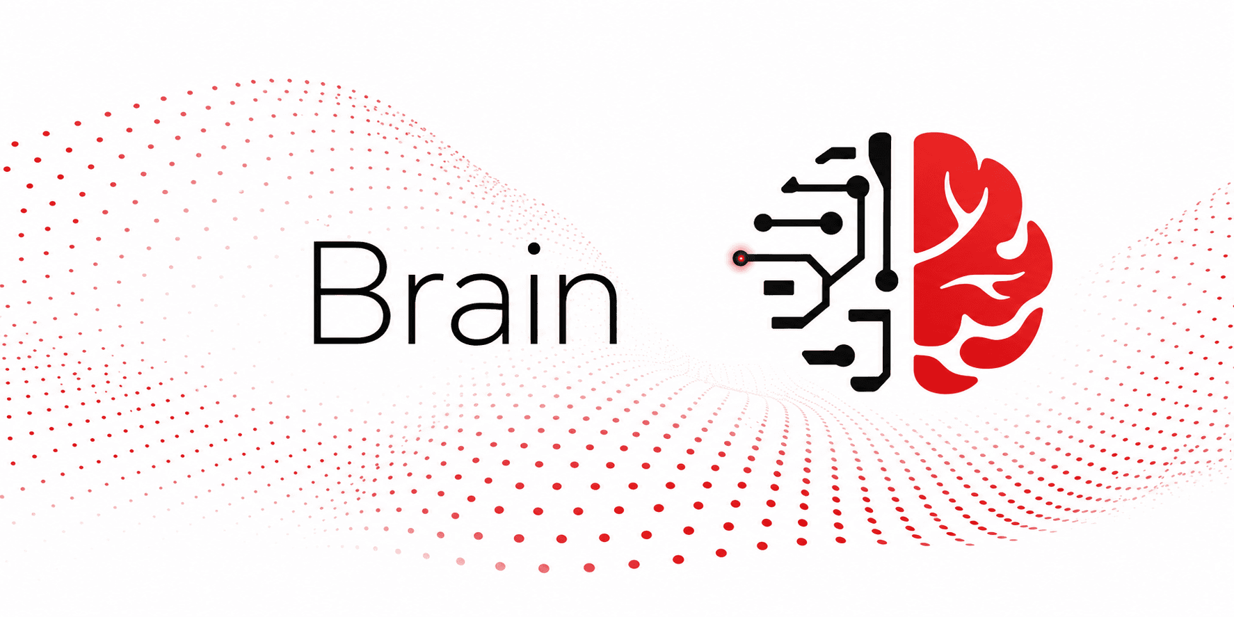 Brain